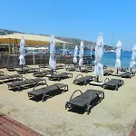 Mercans
